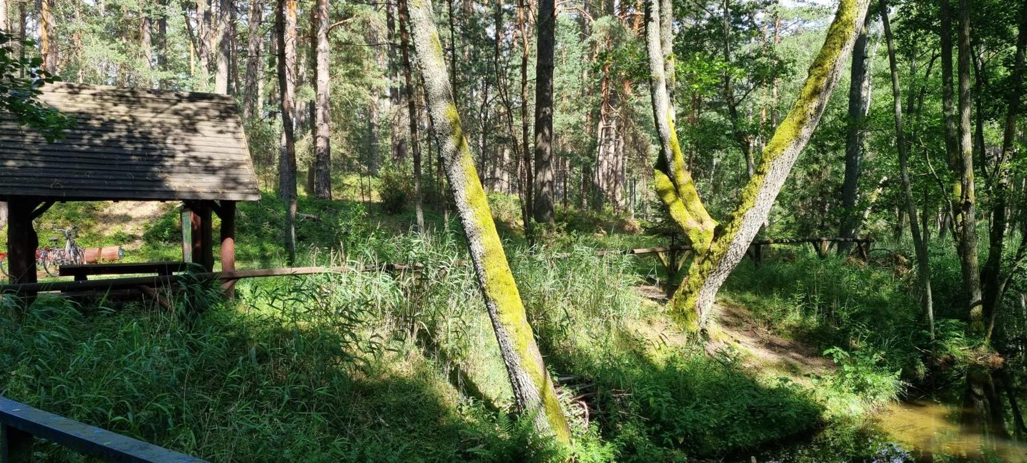 Villa Osrodek Wypoczynkowy Soszko Swornegacie Exterior foto